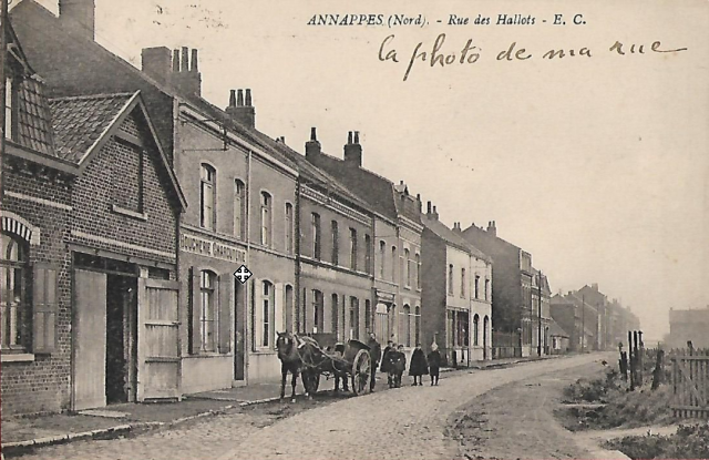 119 annappes - halot